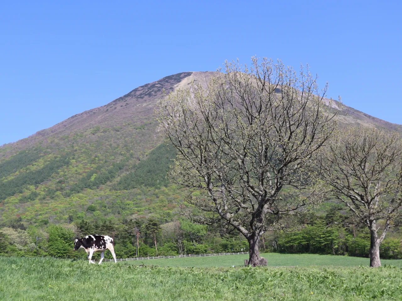 大山