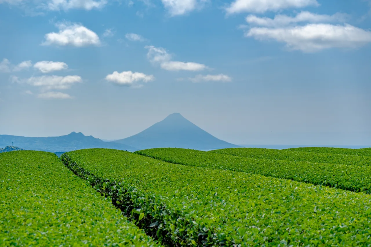 開聞岳