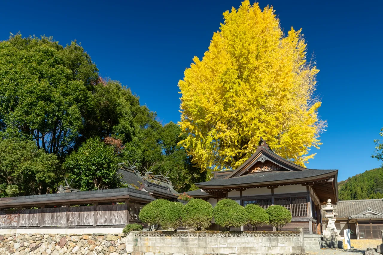 紀美野町