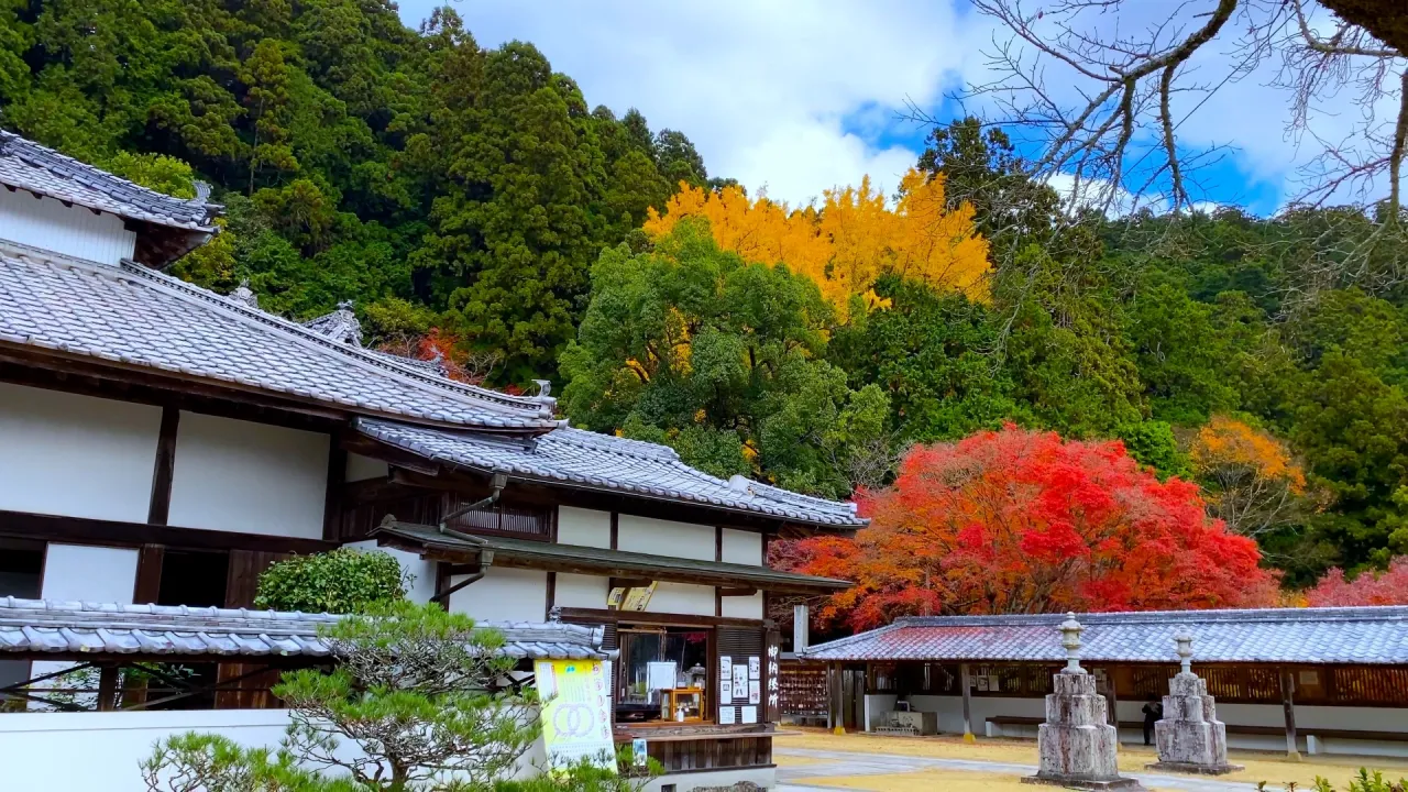 徳島県三好市