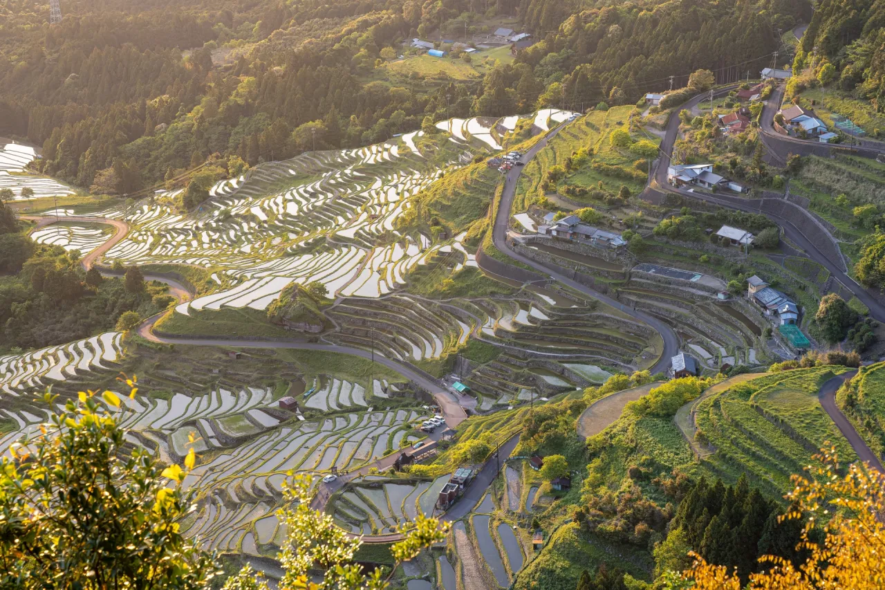 丸山千枚田