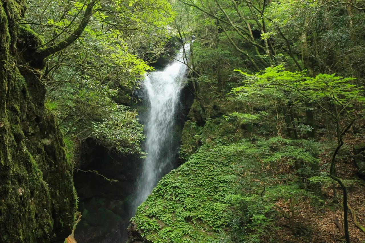 瀬戸の滝