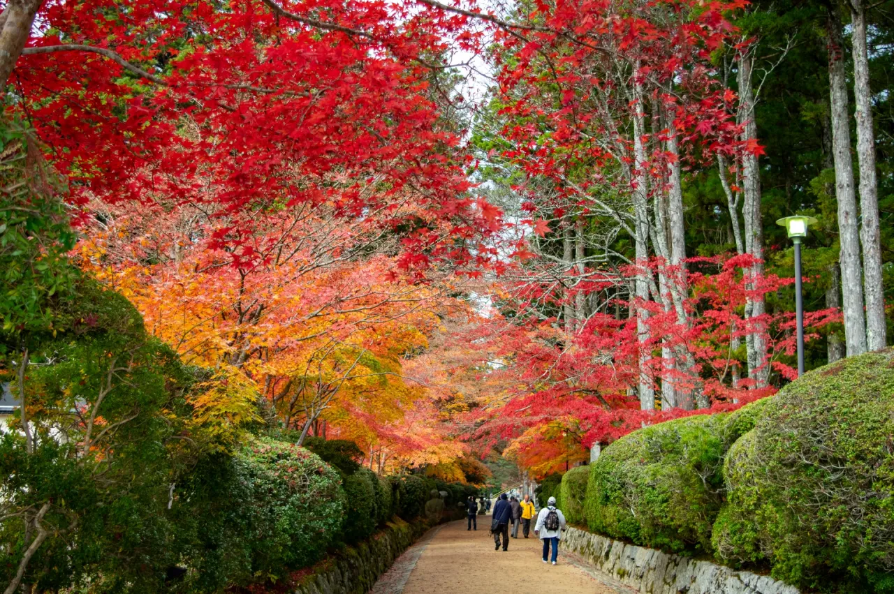 高野山