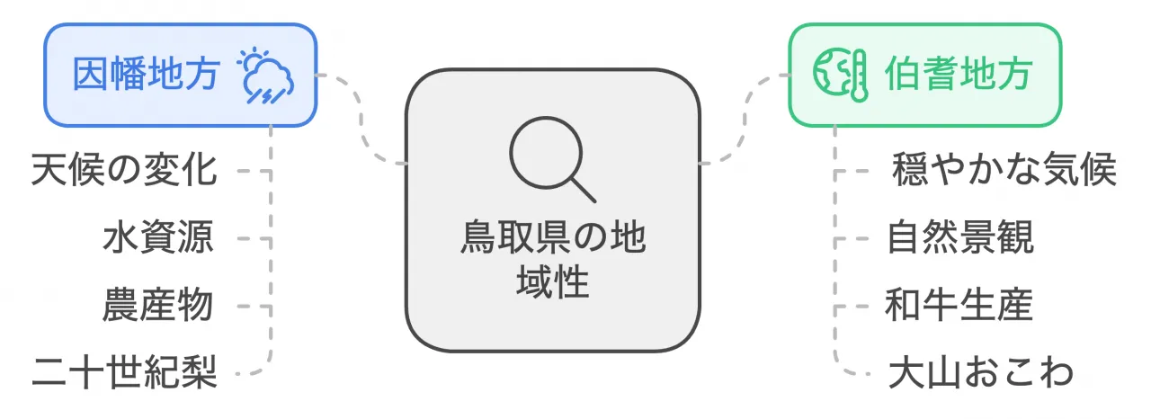 地域性の違い