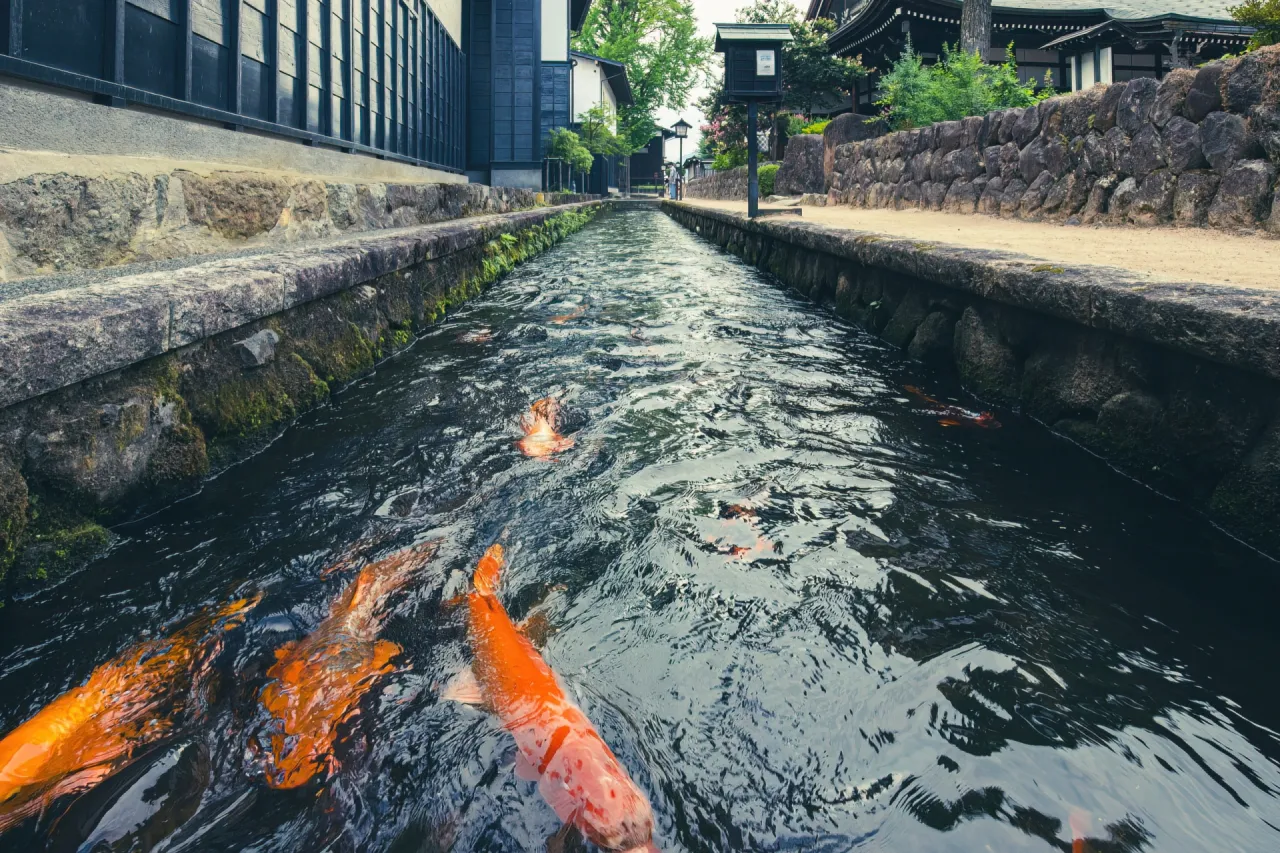 飛騨市古川町